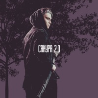 Сакура 2.0 - Single - DKart