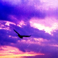 Transmissions from the Astral Realm - Renjā