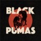 Colors - Black Pumas lyrics