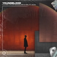 Youngblood (feat. Acko) - Single - Gulmee, Dylan Baksalara & Mal