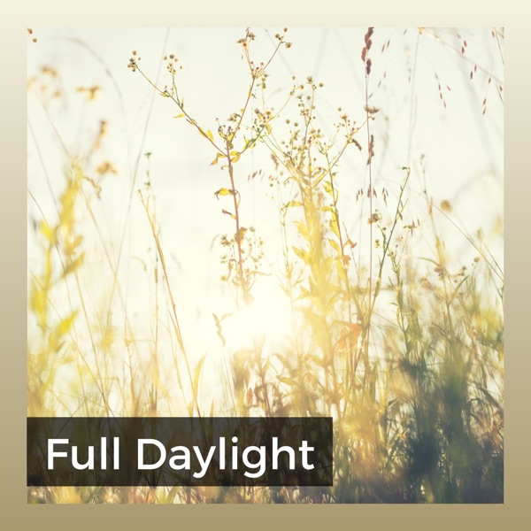 Full Daylight