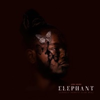 Elephant (Lonely Hearts Club Mix) - Single - Afro Sensei