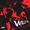 WILLY FOG (feat. ANYVIBE) - Loga lyrics