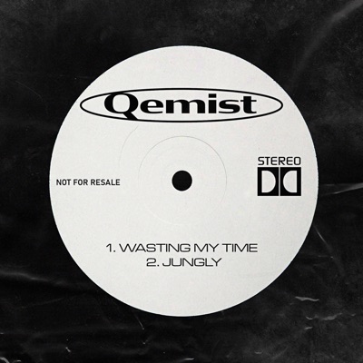 Wasting My Time / Jungly - Single