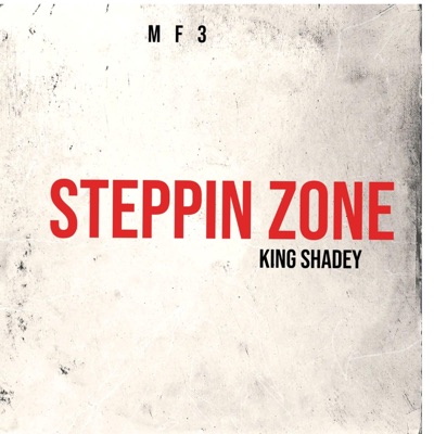 Steppin Zone (feat. WavyMook, Jamsta & Lil5 Porky) - Single