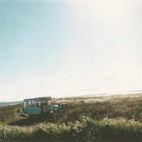 Cotton - Single - Martin Martyn