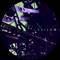 Feared (R / D / V Remix) - Esilum lyrics
