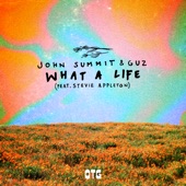 What A Life (feat. Stevie Appleton) artwork