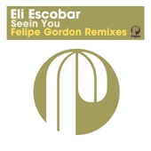 Seein You (Felipe Gordon Remix) artwork