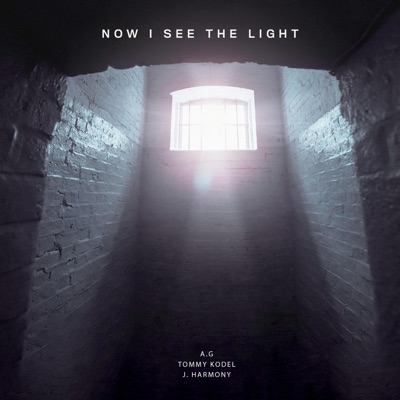 Now I See the Light (feat. J. Harmony) - Single