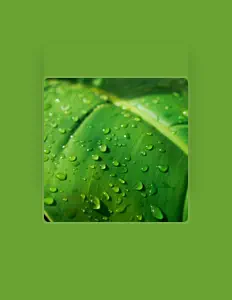 Rain ASMR Soundを聴いたり、ミュージックビデオを鑑賞したり、経歴やツアー日程などを確認したりしましょう！
