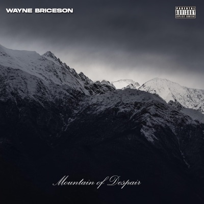 Wayne Briceson - The Source