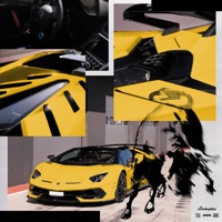 Lamborghini - Single - Incis ZONE & Goss Vinyard