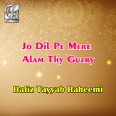 Jo Dil Pe Mere Alam Thy Guzry artwork