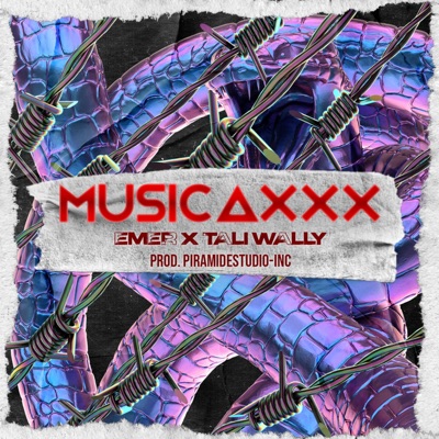 Musicaxxx (feat. Tali wally) - Single