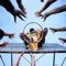 Half Steppin (feat. Dizzy Banko) - HDBeenDope lyrics