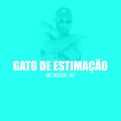 Gato de Estimação (feat. MT) - Single