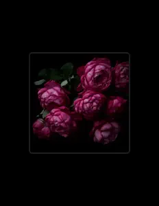 Poslechněte si interpreta Iliza, sledujte hudební videa, přečtěte si životopis, podívejte se na data turné a další informace.