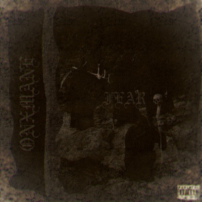 Fear - Single