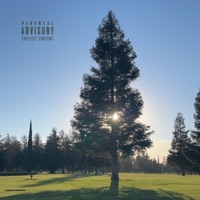 Tree of Life - Single - Lemniscate