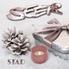 Seer & Wolfgang Ambros - A STÜCK WEIHNACHTSFRIEDEN