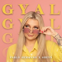 Gyal (feat. Sheyn) - Single - Pablo Hermano