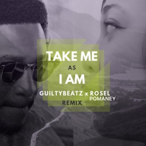 Take Me as I Am (Remix)