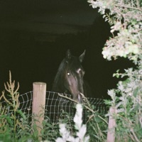 Nocturne - Manny Noir & Psychedelic Ensemble.