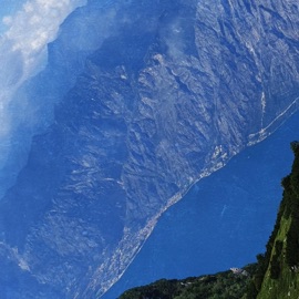 Drawing of a Fish DJ Garlik & Noomz