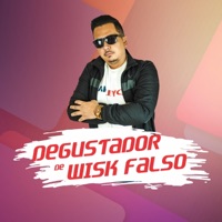 Degustador de Wisk Falso - Single - MC Guidanny & Dj Leon Oficial