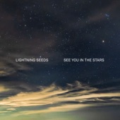 The Lightning Seeds - Losing You