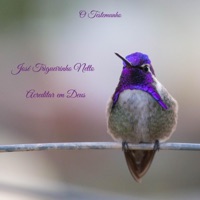 Acreditar em Deus (feat. José Trigueirinho Netto) - Single - O Testemunho