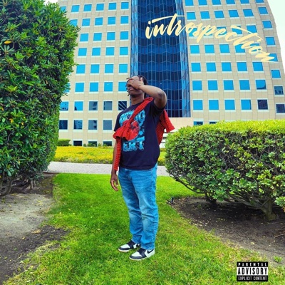 Introspection - EP