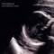 Hearts Beating in Unison - Freq Molecule lyrics