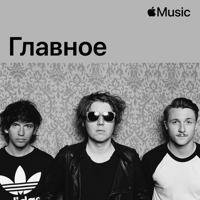 The Vines: главное