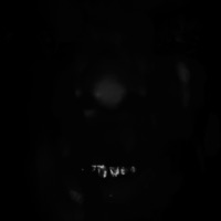 Cøurt øf Øwls - Single - YG Wop