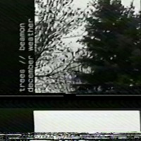 December Weather - Single - trees & Beamon