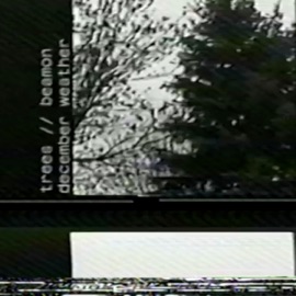 December Weather trees & Beamon