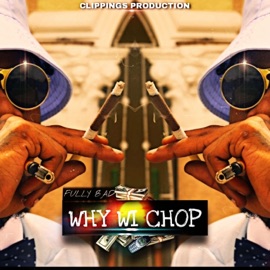 Why Wi Chop Fully Bad
