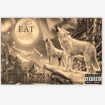 U Wouldnt Believe (feat. FBG Mula) - Single