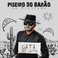 Gata das Gatas - Single - piseiro do barão
