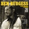 White Picket Fence - Ben Burgess lyrics