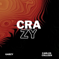 Crazy (feat. Carlos Colleen) - Single - Gabzy