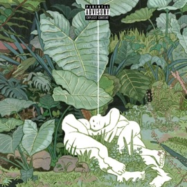 Mary Dstar & Dvn Dvs