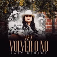 Vas a Volver o No - Single - Gaby Romero