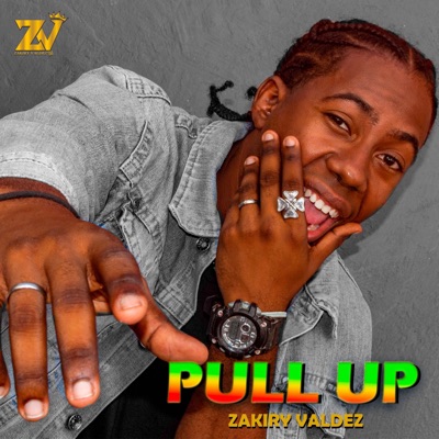 Pull Up - Single