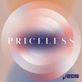 Priceless J209