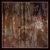 Untouched Rainforest, Pt. 2 - Single