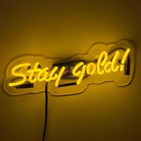 Stay Gold (feat. Rob Law) - Single - Chase Money
