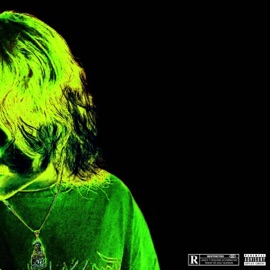 Itsovertoolate funeral